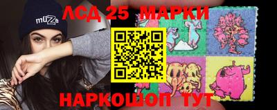 гашик Новодвинск