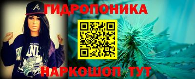 гашик Новодвинск
