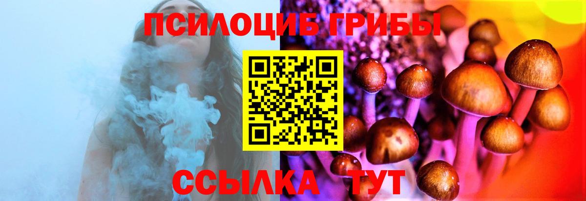 Приморско-Ахтарск  Галлюциногенные грибы мухоморы  где можно купить наркотик  Вход с VPN  Псилоцибиновые грибы MAGIC MUSHROOMS 
